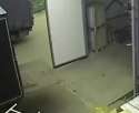 1450169695754.webm