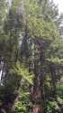 1456514947123.webm