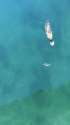 1440820847646.webm