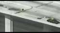 1466973893398.webm