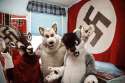 Furry-Nazis.jpg