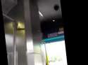 1416239323723.webm