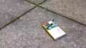 CIA cellphone assassination charge.webm