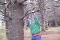 American Sniper.webm
