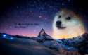 doge.jpg