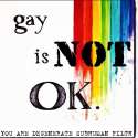 gay is not okay.jpg