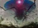 emrakul.jpg