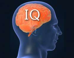 CT_Quartz-IQ_SPOTLIGHT.jpg