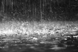 rain.jpg