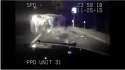 GetBackInTheCar.webm