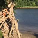 1471844818287.webm