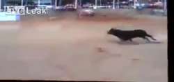 1458903590562.webm
