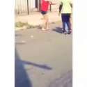 dogslap.webm