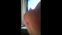 1456352306937.webm