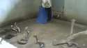now where did I drop my contact lenses.webm