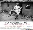Fun+nigger+facts_56780e_5439952.jpg