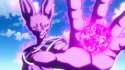 beerus.jpg