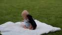 BabySavagedByDog.webm