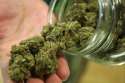 marijuana-general.jpg
