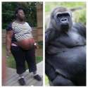 nigger looks gorilla.jpg
