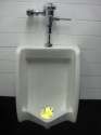 36271 - Artist-carpdime abuse crying crying_foal foal questionable shit-edit urinal urinal_foal.jpg