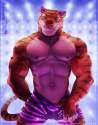 1849021 - Anhes Tiger_Dancer Zootopia.jpg