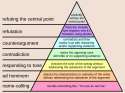 1280px-Graham's_Hierarchy_of_Disagreement.svg[1].png