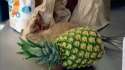 1451665069164.webm