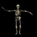 Skeleton_dancing_hg_blk.gif