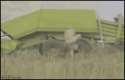 1409052693157.gif