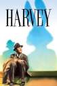 harvey.jpg