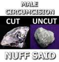 cut.jpg