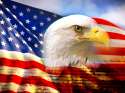 bright american eagle flag.jpg