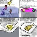 10447 - Urinal_cakes abuse artist-fillialcacophony comic crying death original_art pee questionable sea_fluffies tears.png
