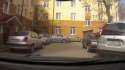 road kill.webm
