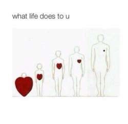 FB_IMG_1451307856354.jpg