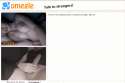 1417201713658.gif