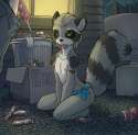 1160356_domovoilazaroth_racoon_in_the_bins.png