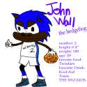 john_wall_the_hedgehog_by_freshnfly89-d39qcpu.jpg