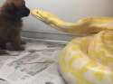 1478512844365.webm