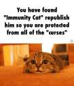 Immunity Cat.gif