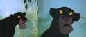 Bagheera.png