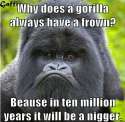 gorilla_frown.png