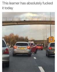 12804883_260850214245920_2755904977479027539_n.jpg
