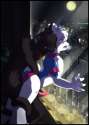 Cat Furry 208.jpg