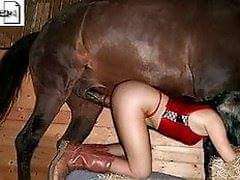 FB_IMG_1458680328546.jpg