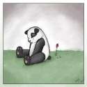 Sad panda.jpg