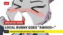 local bunny goes awoo.png