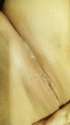 received_910307265688963.jpg