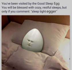 egger.jpg